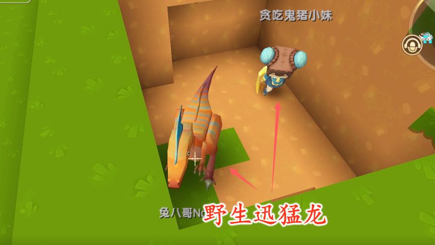 迷你世界联机126：为了带这只迅猛龙回家，我们付出了惨痛的代价