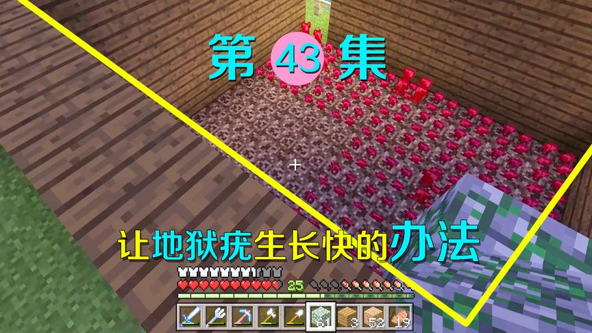 我的世界43：地狱回来种了一大片地狱疣，据说用这种办法生长更快
