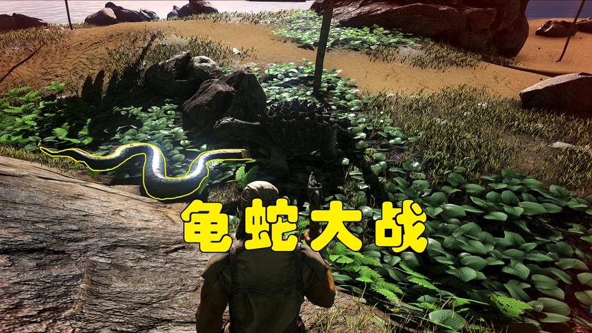 方舟生存进化：龟蛇大战上演，阿管捡了个漏