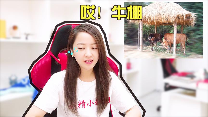 板娘Q&A：小薇透露自己杀生的原因，都是牛棚惹的祸！