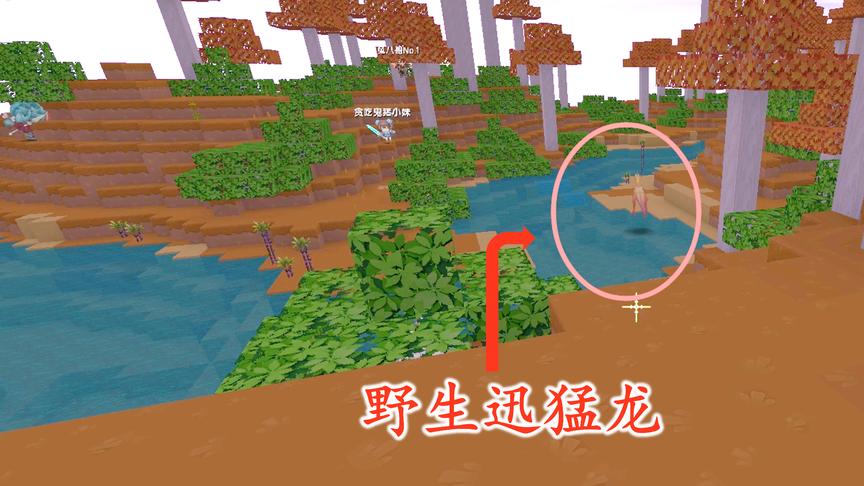 迷你世界联机135：我们在野外碰到一只迅猛龙，被猪小妹玩挂了