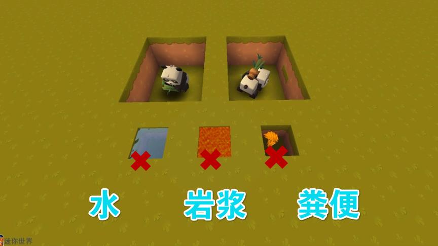 迷你世界新版熊猫无敌吗？岩浆、水和大便还怕吗？原来它怕这个！