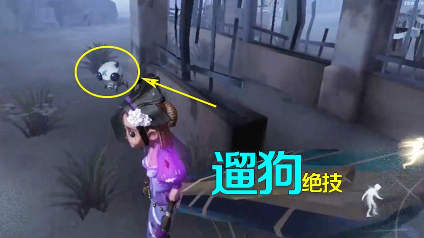 第五人格：动物也想成精？阿阳我展现遛狗驯兽绝技，秀晕蜘蛛和狗