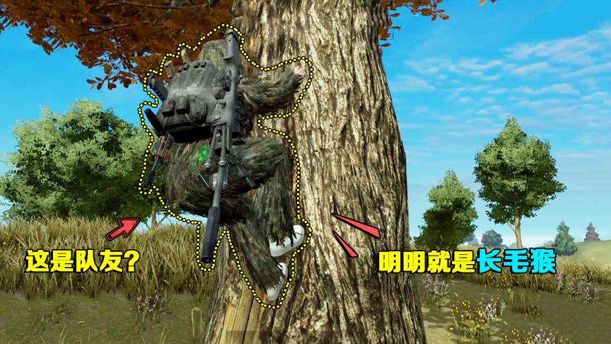 高配版荒野行动：猴子出没？全身长毛会爬树，动作酷似长臂猿！