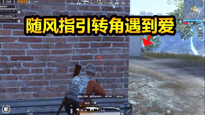 刺激战场：随风倒地，柚子不离不弃又该怎样为随风报仇？
