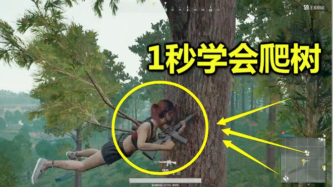 绝地求生：只要爬上这个100米大树，躲在树顶上，就能吃鸡