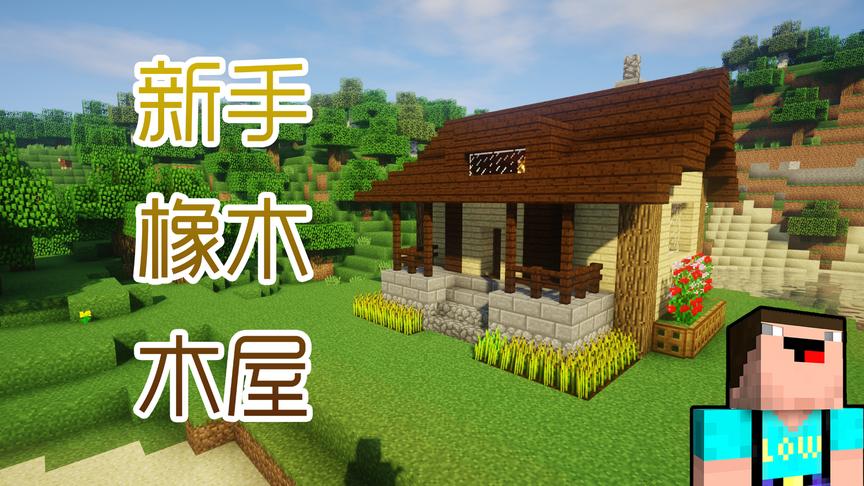 《我的世界》菜鸟建造04—小型橡木木屋，萌新适用