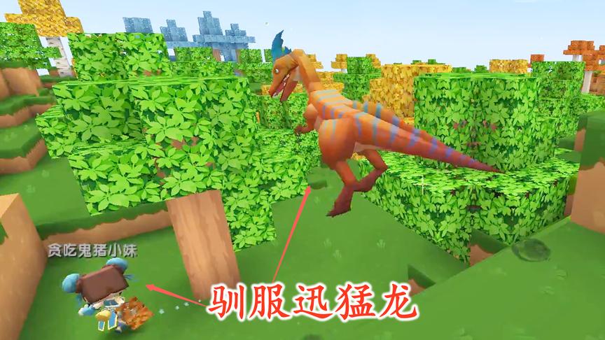 迷你世界联机156：野生迅猛龙好像跟猪小妹有仇，见到她就咬