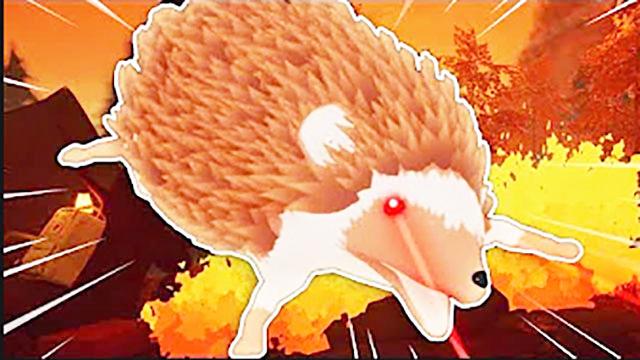 滑稽刺猬森林探险记