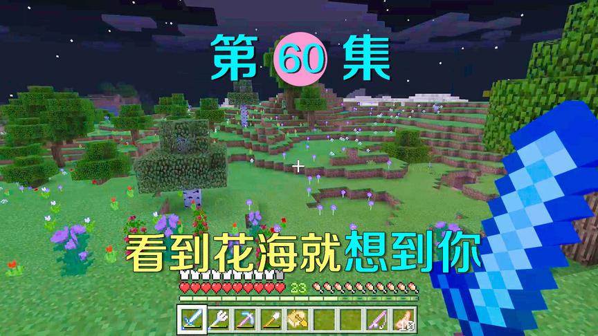 我的世界60：你喜欢这世界中的花海，我喜欢你