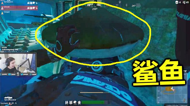 绝地求生海洋版：偶遇一只鲨鱼，足有5米长，世界第一都被吓到了