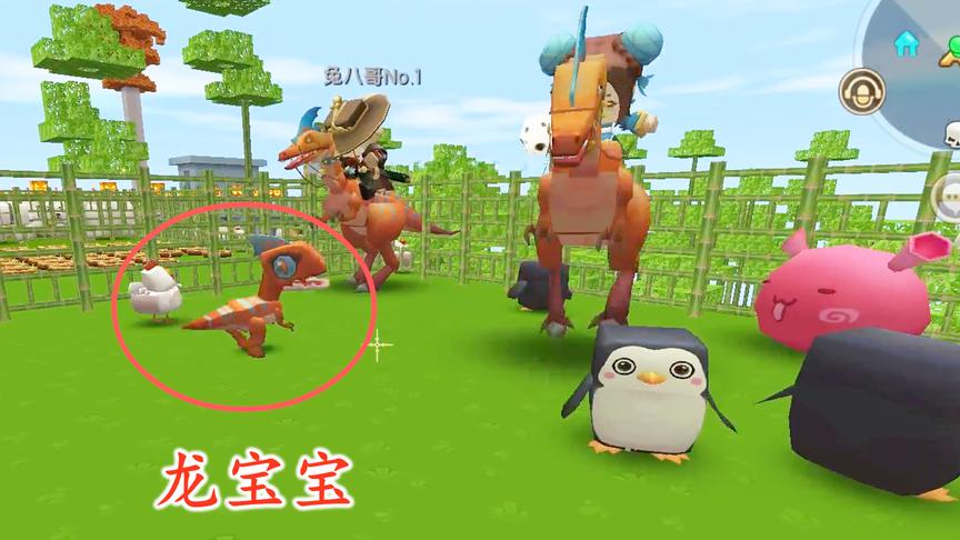 迷你世界联机182：在我们的精心照料下，两只迅猛龙生下了龙宝宝