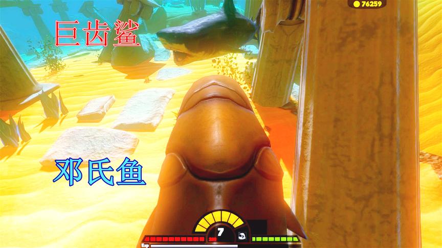 海底大猎杀：7级邓氏鱼遭遇小型巨齿鲨，没想到实力竟如此悬殊