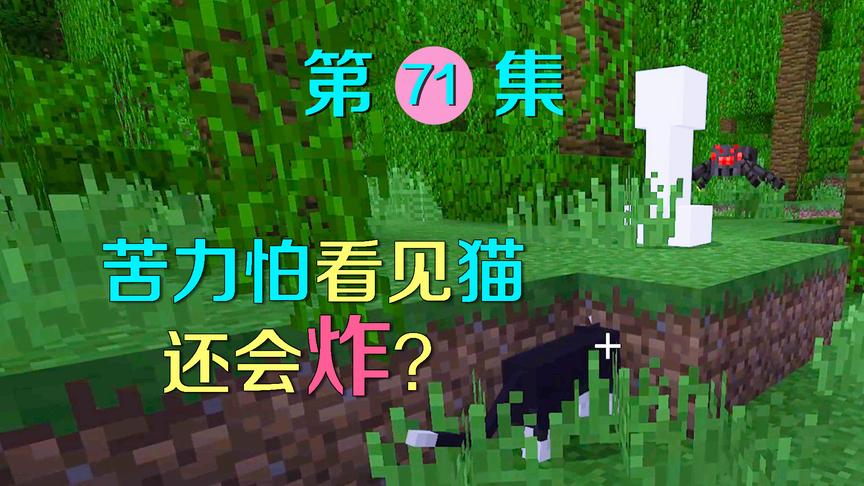 我的世界71：带着猫遇到一只苦力怕，为什么它还会爆炸？