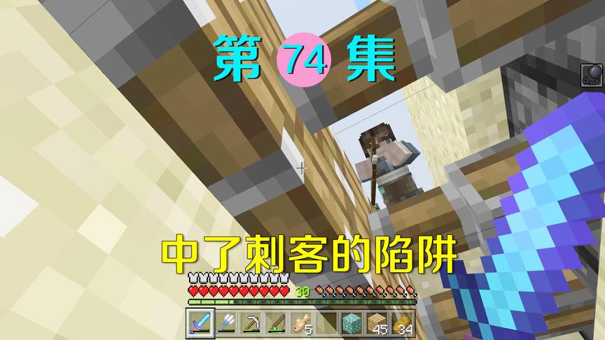 我的世界74：不小心中了刺客的陷阱，他刺杀我原来另有苦衷！