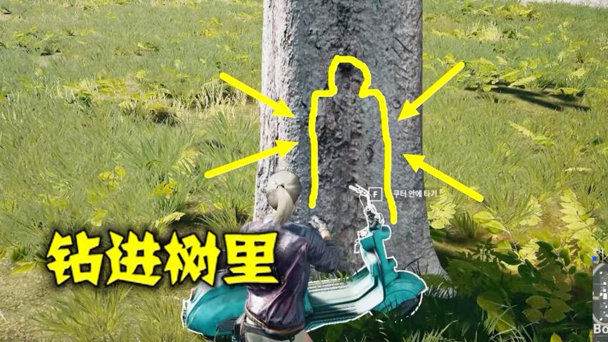 绝地求生：学了一年忍术终于出师，变成一棵树，队友都没找到我
