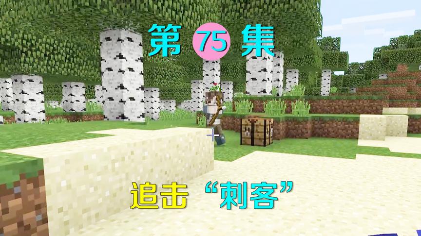 我的世界75：刺客不忍杀我另有隐情？我追击他到矿洞却跟丢了