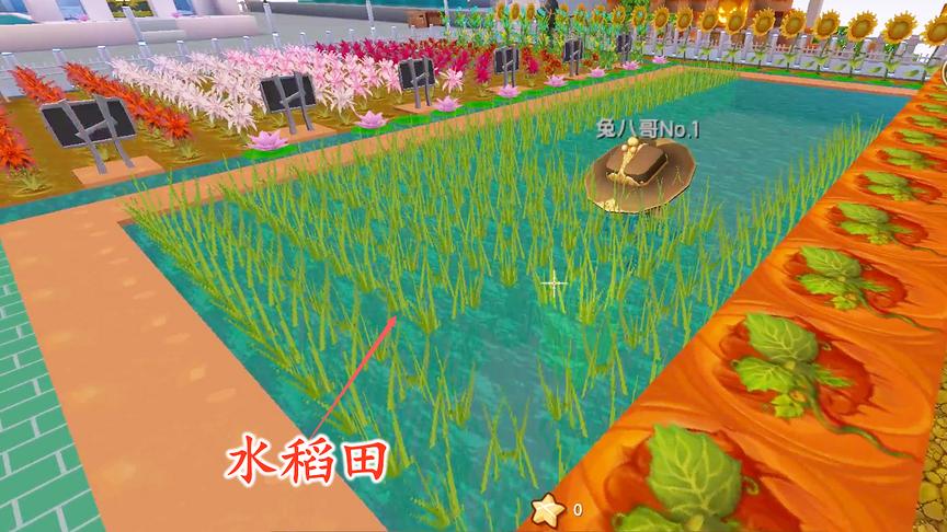 迷你世界联机194：我们在花园旁边修了一个稻田，种了许多水稻