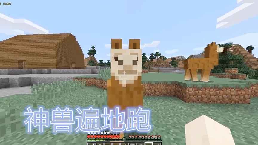 我的世界04：还以为羊驼是什么稀有动物，这个草原上一万只？