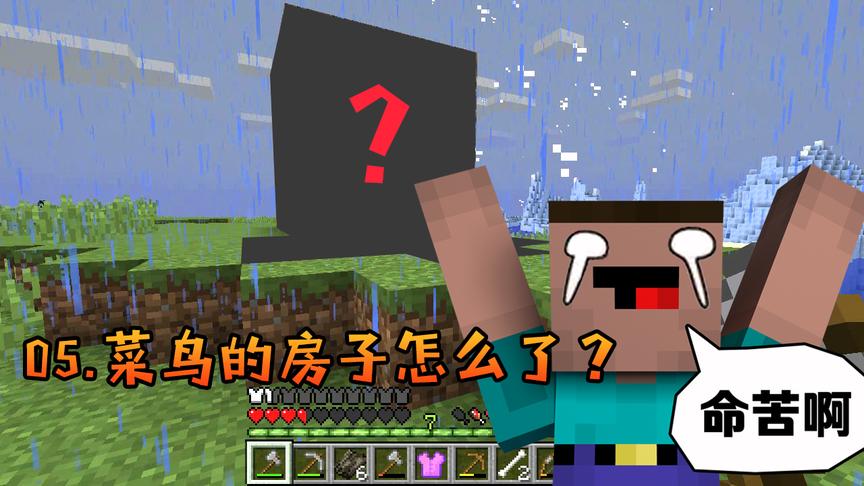 《我的世界》菜鸟生存日记05，谁帮助菜鸟君改造了房子？
