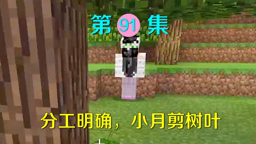 我的世界91：我和小月分工明确，她砍木头剪树叶，我来盖房子