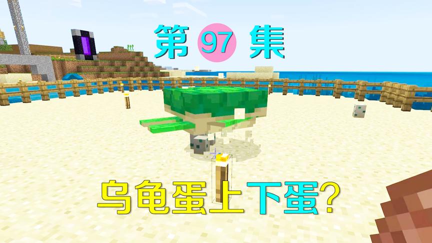 我的世界97：为了给小月制作海龟帽，我繁殖海龟却看见这样一幕