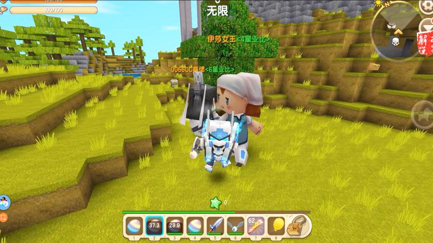 迷你世界宠物捕捉，捕捉十星奥丁神被打死了