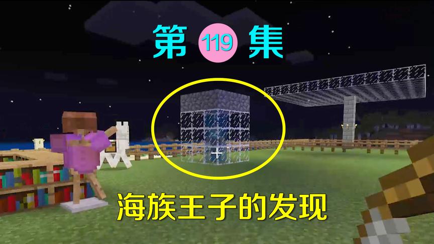 我的世界119：海族王子潜入阿阳家想搞破坏，却有了意外发现