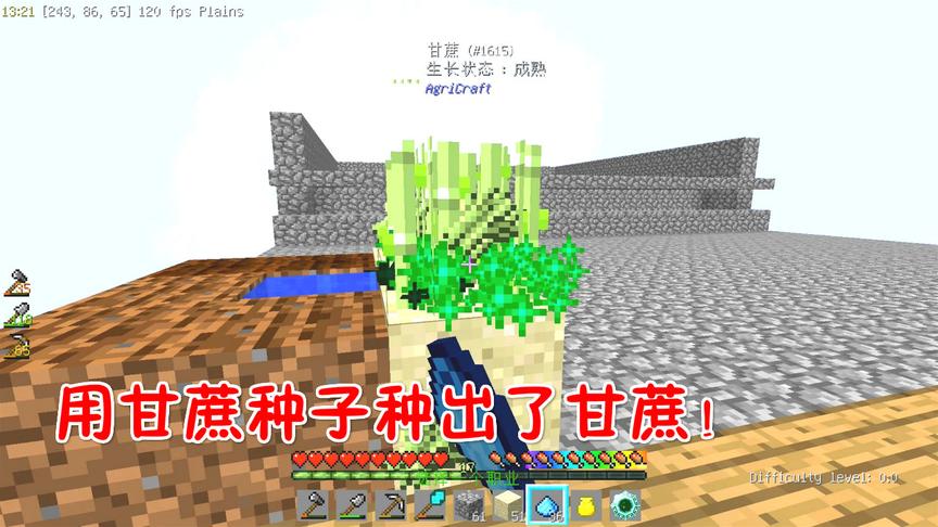 我的世界无人入眠17：为了造刷怪塔，用甘蔗种子种出了甘蔗！