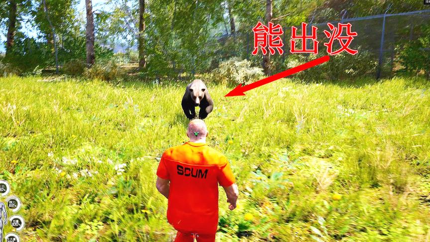 人渣Scum：突然遭到熊的袭击该怎么办？徒手攻击有胜算吗？