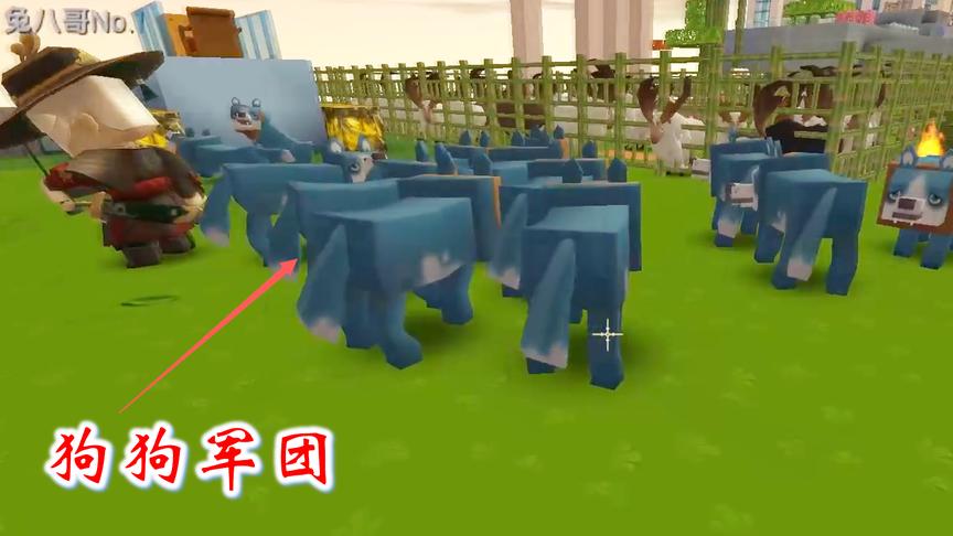 迷你多人联机258：我们在野外组建了一个狗狗军团，把它们带回家
