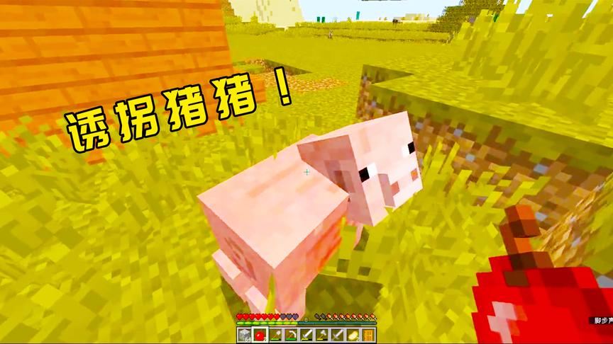 我的世界生存20：第一次诱拐小猪，这个方法好像有点不对劲！