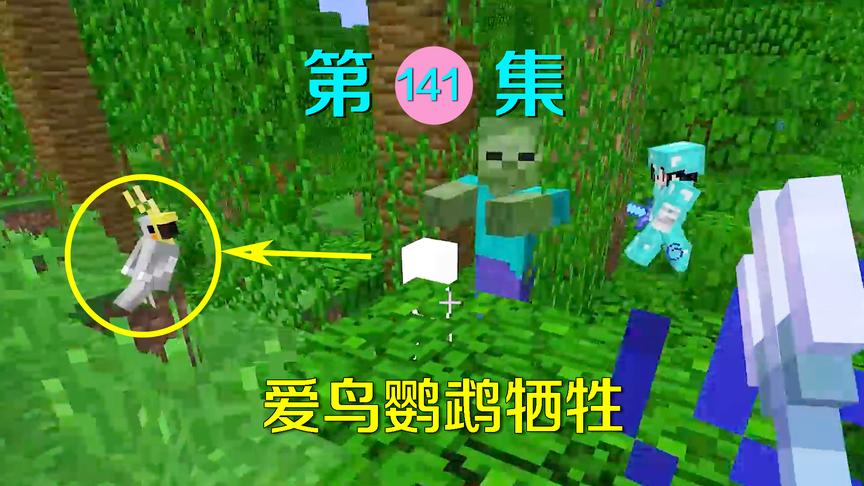 我的世界阿阳历险记141：我驯服的鹦鹉活不过两集？被波及牺牲