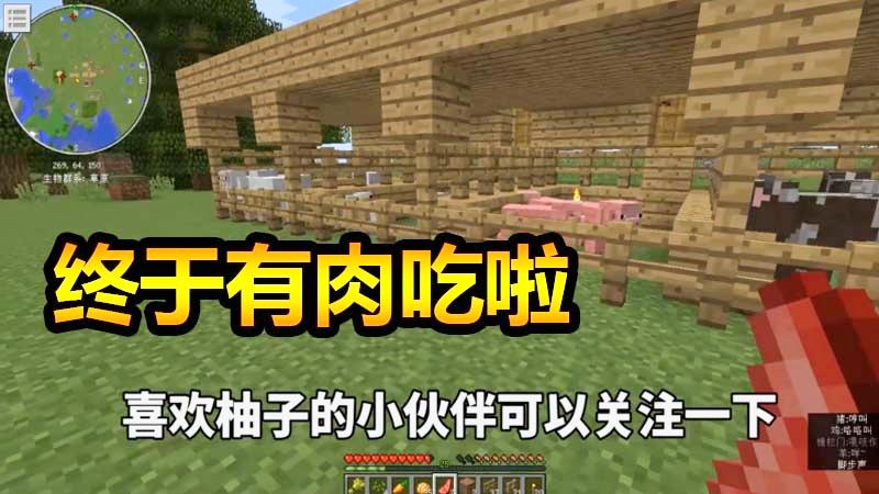 我的世界改建农场12：制作陷阱诱捕僵尸，圈养动物吃不完的肉
