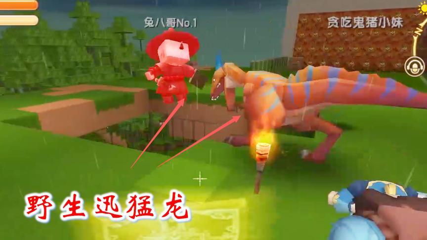 迷你世界联机307：我们放出野生迅猛龙，它使劲咬兔八哥