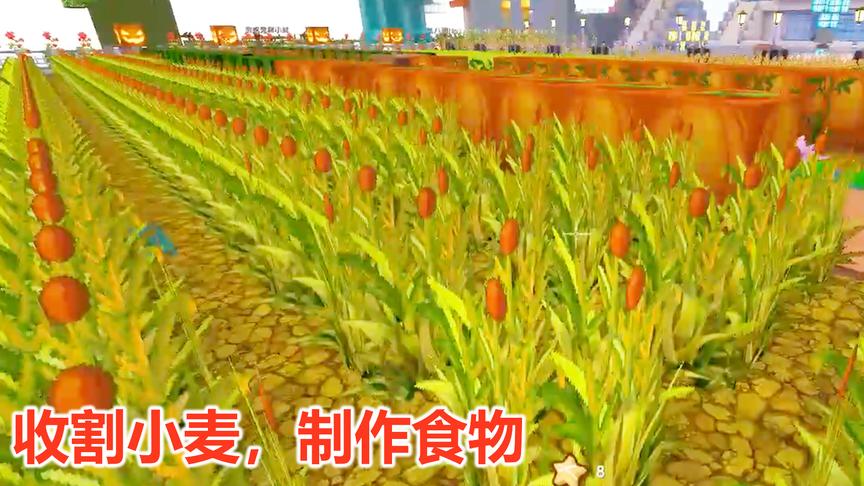 迷你世界联机313：我们收集一些小麦制作食物，准备去复活黑龙