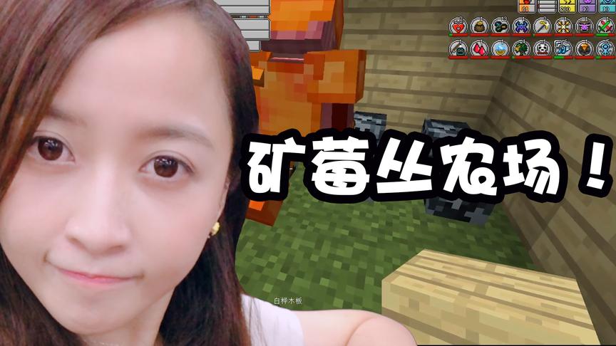 我的世界虚无世界生存22：矿莓丛农场建造完成，再也不用挖矿了！