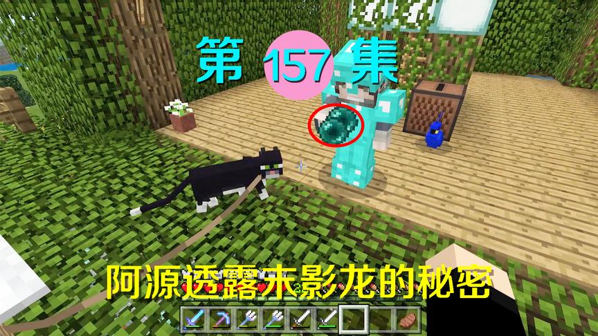 我的世界阿阳历险记157：阿源告诉我末影龙的秘密，我们达成合作