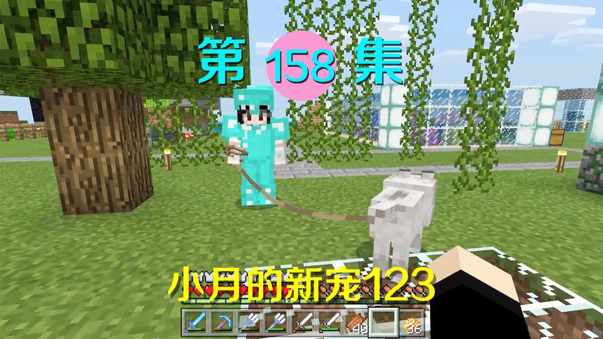我的世界阿阳历险记158：小月驯服了一只新狗狗，我们给它取名123