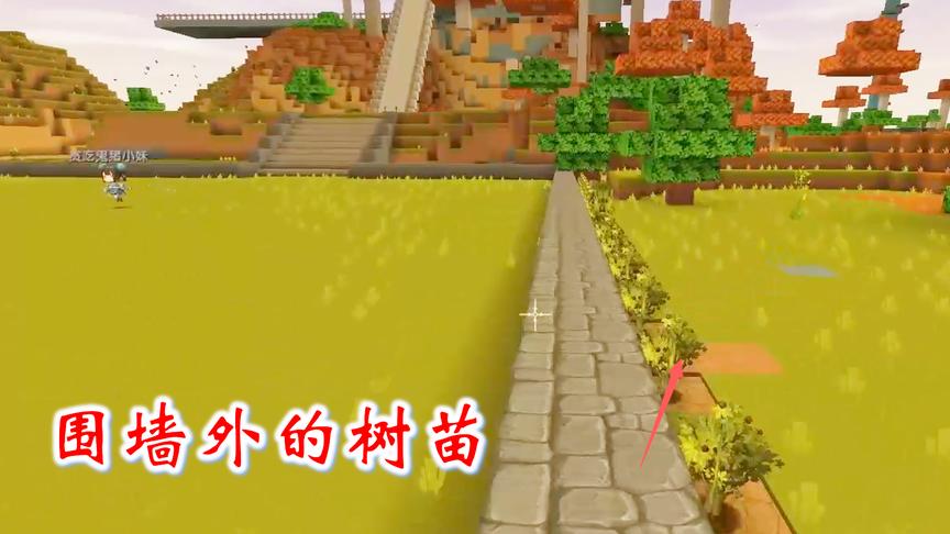 迷你世界联机328：我在后山空地外围，种了一排果木树苗