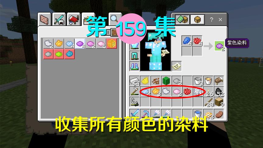 我的世界阿阳历险记159：我收集了16种染料，准备给我的羊染色