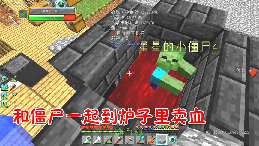 我的世界无人入眠30：和僵尸一起来卖血