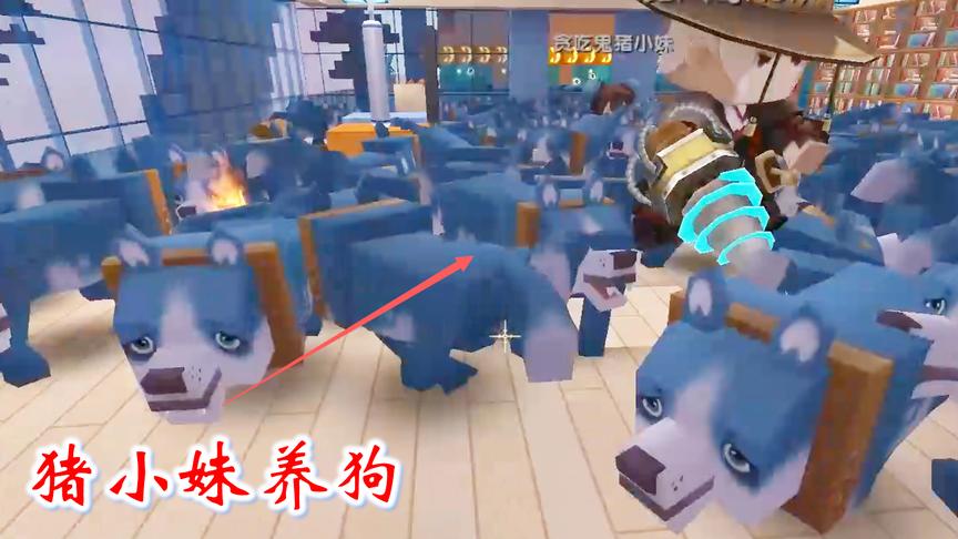 迷你世界联机343：猪小妹想把狗养在兔八哥家了，他怎么都不同意