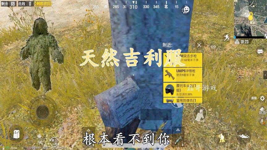 刺激战场：这颗树可以直接走进去，一看就会！效果堪比吉利服