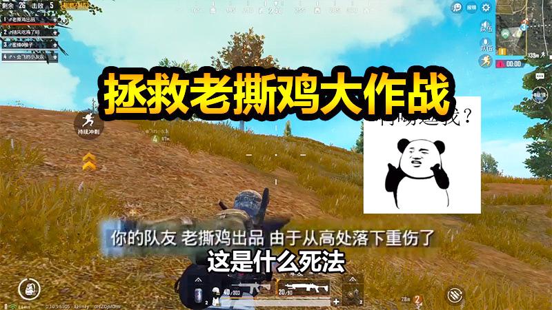 刺激战场：老撕鸡意外摔落悬崖，柚子火线营救能否成功！