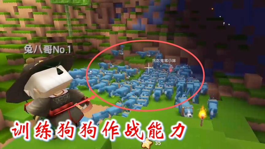 迷你世界联机352：猪小妹用野怪做实验，训练狗狗军团的作战能力