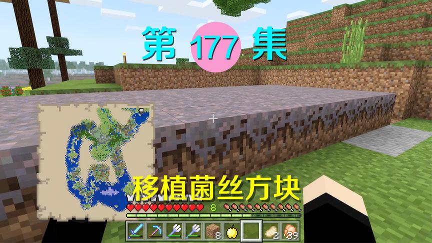 我的世界阿阳历险记177：移植蘑菇岛的菌丝方块，看看会发生什么