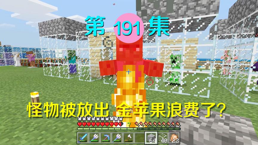 我的世界阿阳历险记191：救治僵尸村民他却逃跑？差点被太阳烧死