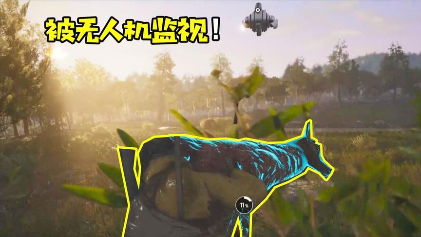 人渣《SUCM》02：狩猎一头落单的麋鹿，竟然被无人机全程监视了！