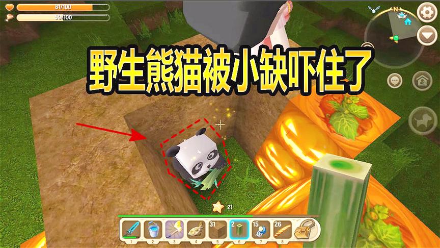迷你世界联机生存65再难驯服的野生熊猫，也抵挡不住小缺的淫威啊